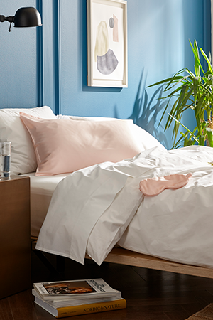 Mulberry Silk Bundle in Blush | ALIGN : RIGHT