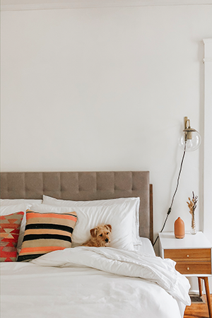 Image by @luckyandi. Luxe Hardcore Sheet Bundle | ALIGN : LEFT